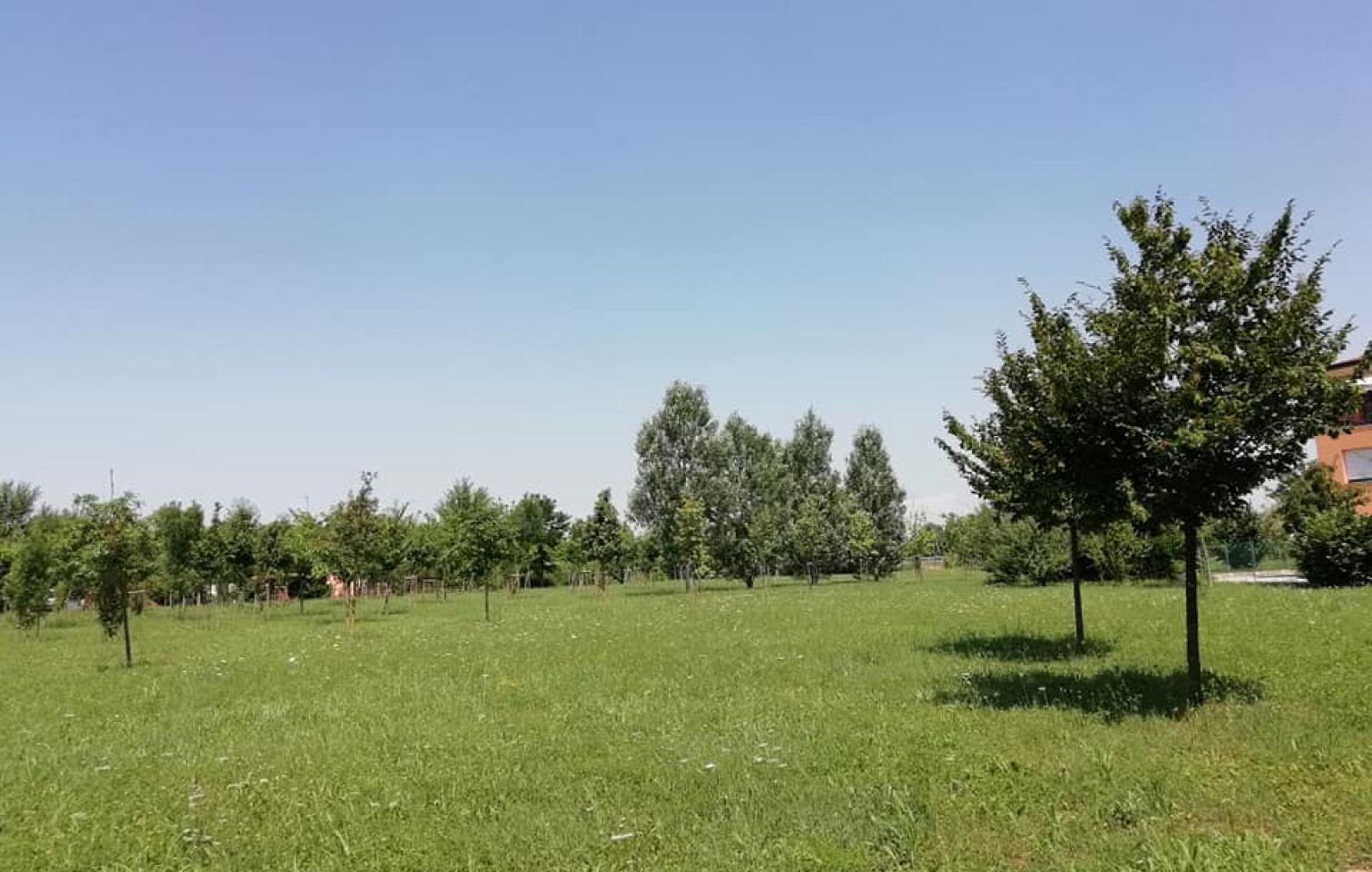AREA CANI v2